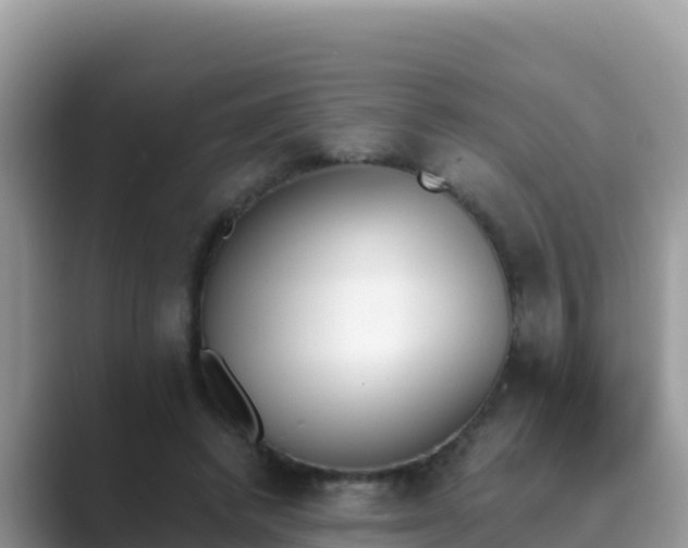 X0000089830448200707051041