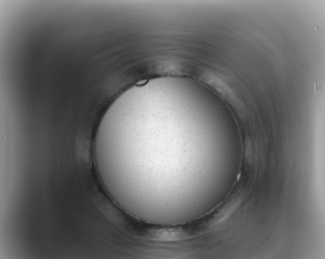 X0000089830449200707051041