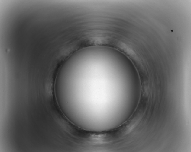 X0000089830450200707051041