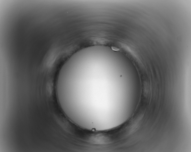 X0000089830451200707051041