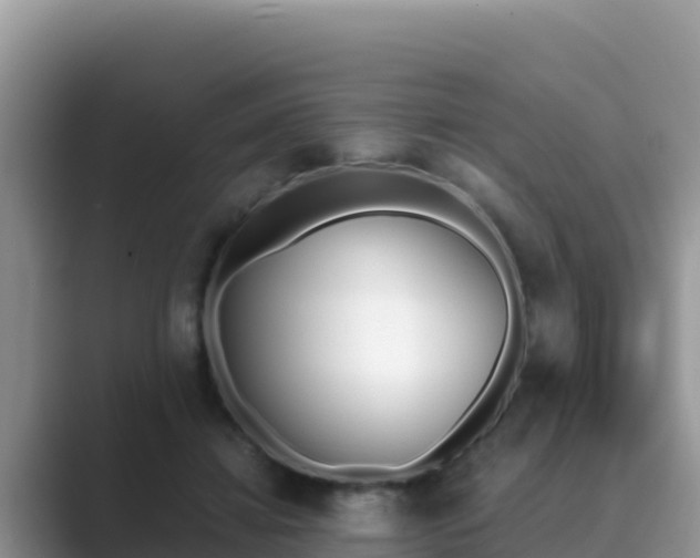 X0000089830452200707051042