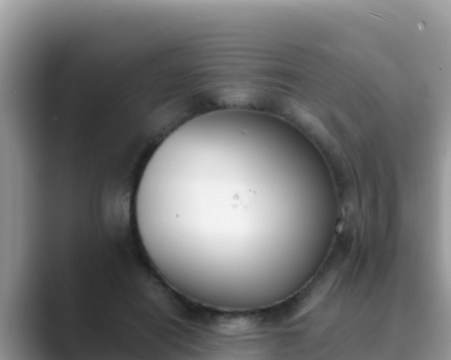 X0000089830454200707051042