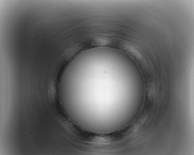 X0000089830455200707051042