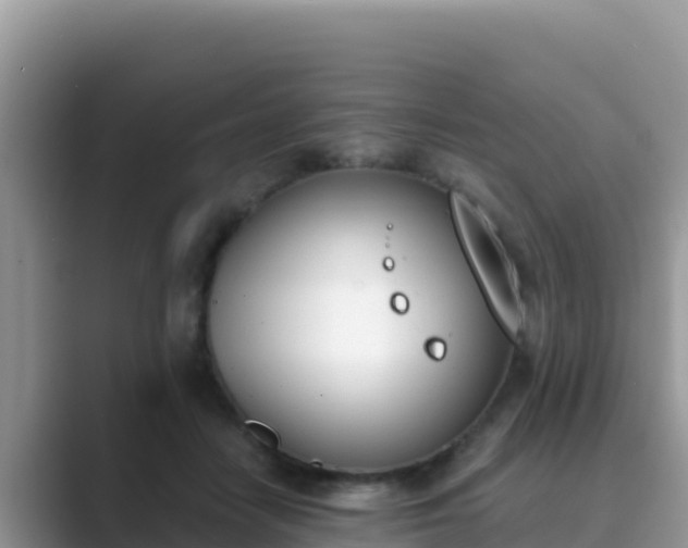 X0000089830458200707051042