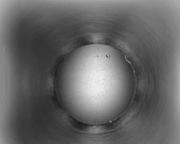 X0000089830461200707051042