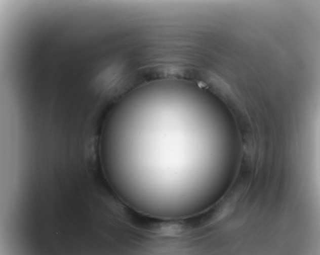 X0000089830462200707051042