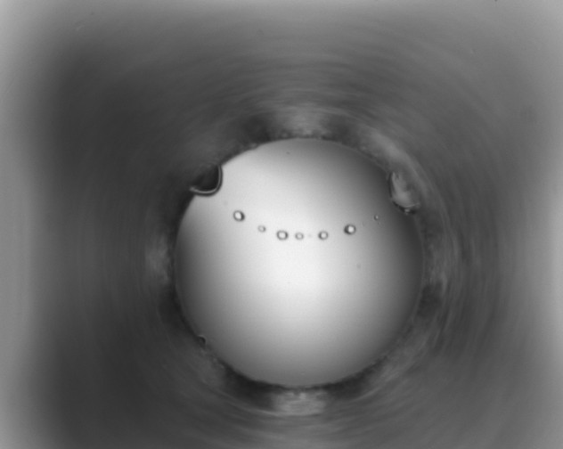 X0000089830465200707051042