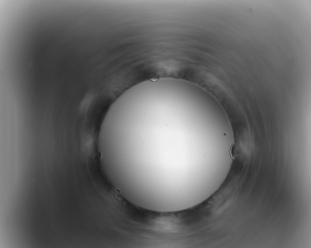 X0000089830468200707051042