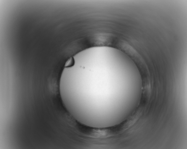 X0000089830469200707051042