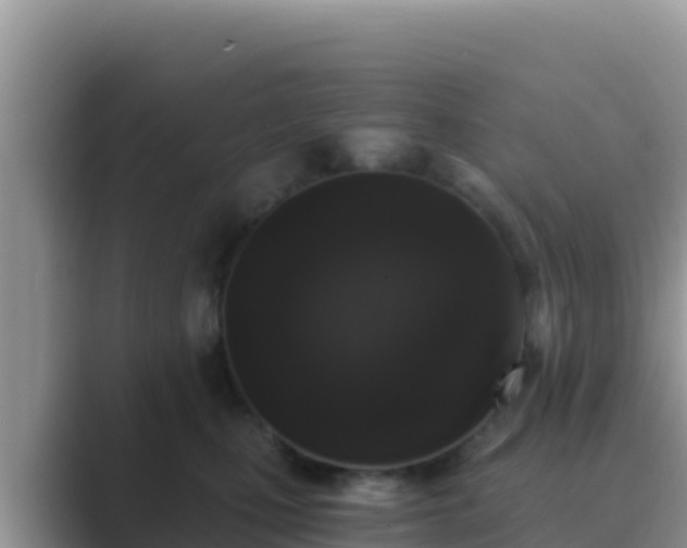 X0000089830471200707051042