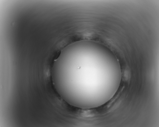 X0000089830472200707051042