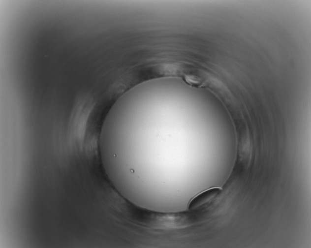 X0000089830473200707051042