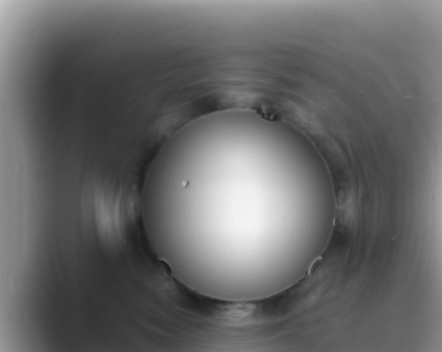 X0000089830474200707051042