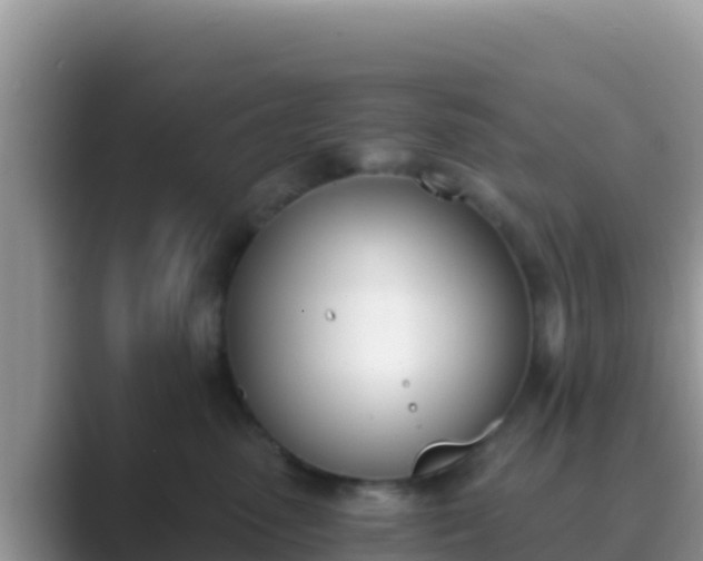 X0000089830475200707051042