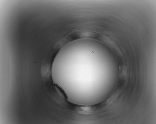 X0000089830478200707051042