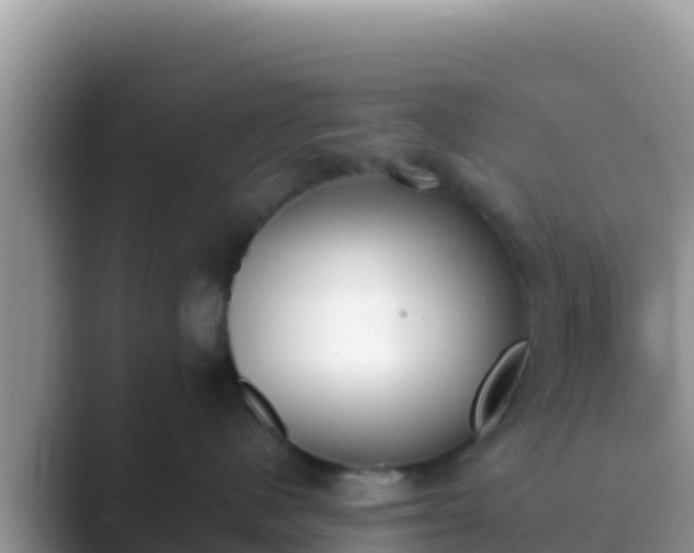 X0000089830480200707051042