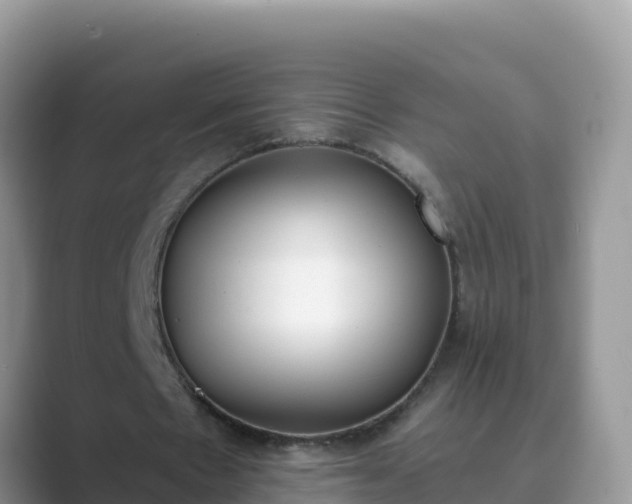 X0000089830481200707051041