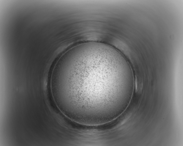 X0000089830483200707051041