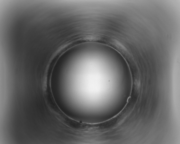 X0000089830484200707051041