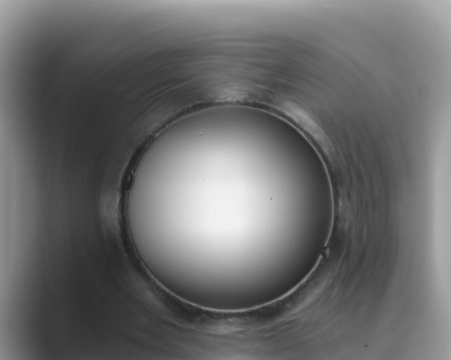 X0000089830485200707051041