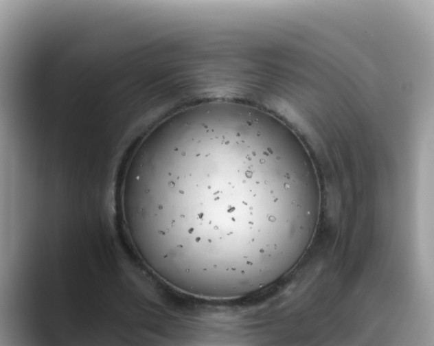 X0000089830486200707051041