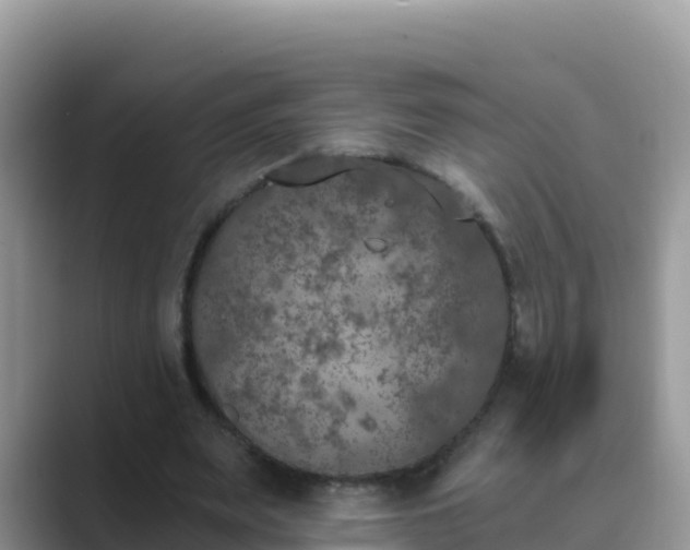 X0000089830487200707051041