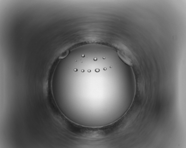 X0000089830488200707051041