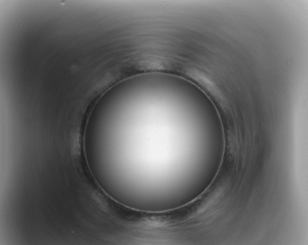 X0000089830489200707051041