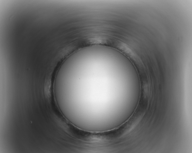 X0000089830490200707051041