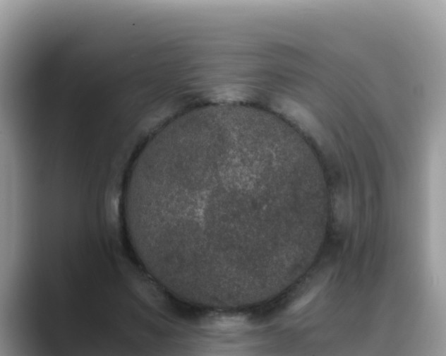 X0000089830491200707051041