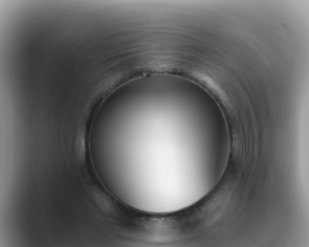 X0000089830493200707051041