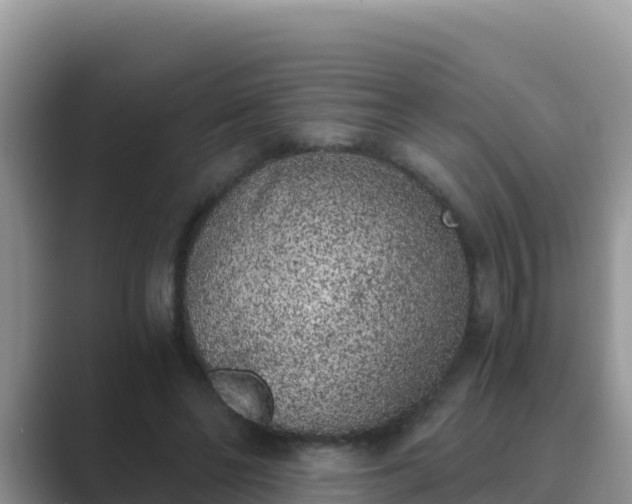 X0000089830494200707051041