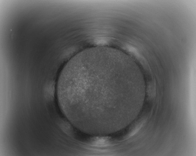 X0000089830495200707051041