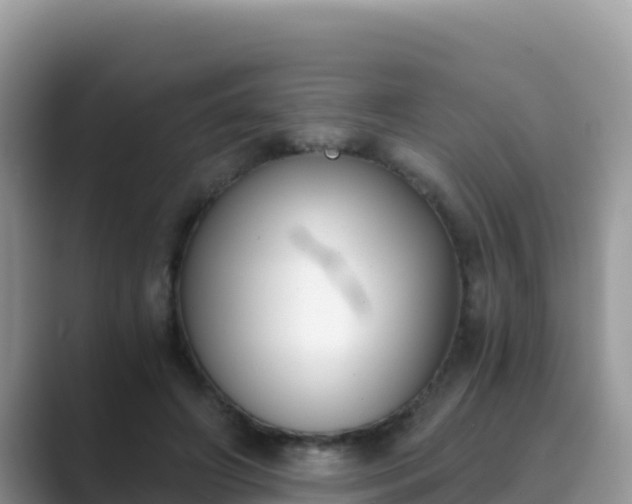 X0000089830498200707051041