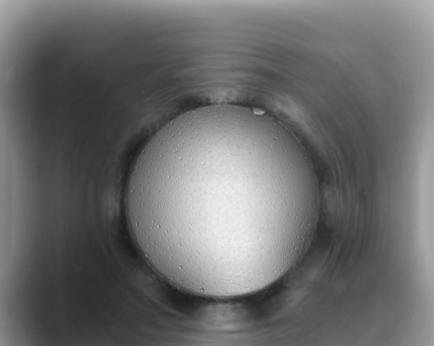 X0000089830499200707051041