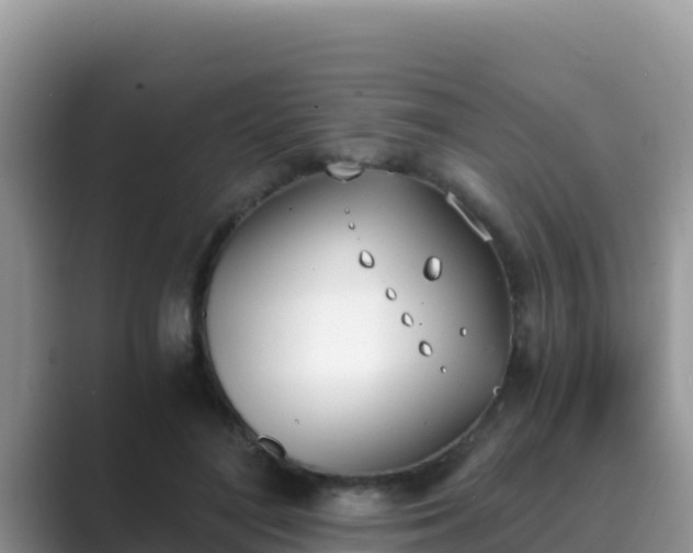 X0000089830500200707051041