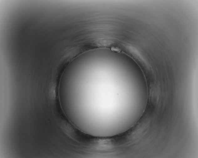 X0000089830501200707051041