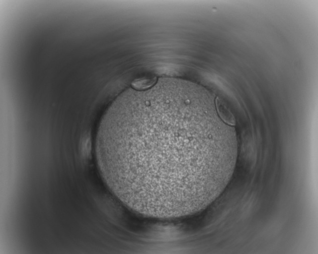 X0000089830502200707051041