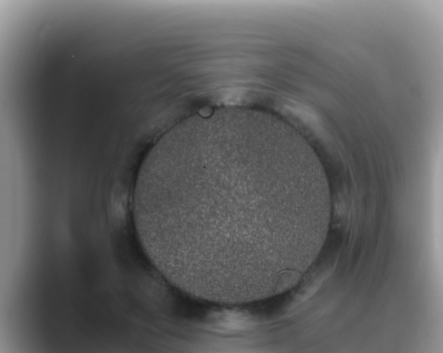 X0000089830503200707051041