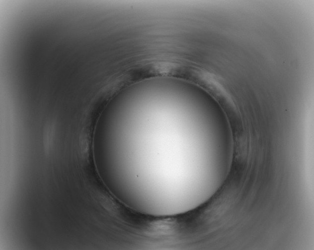 X0000089830505200707051041