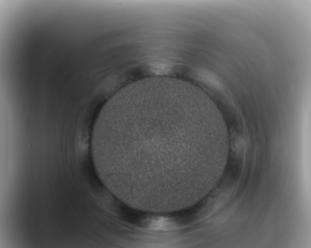 X0000089830507200707051041