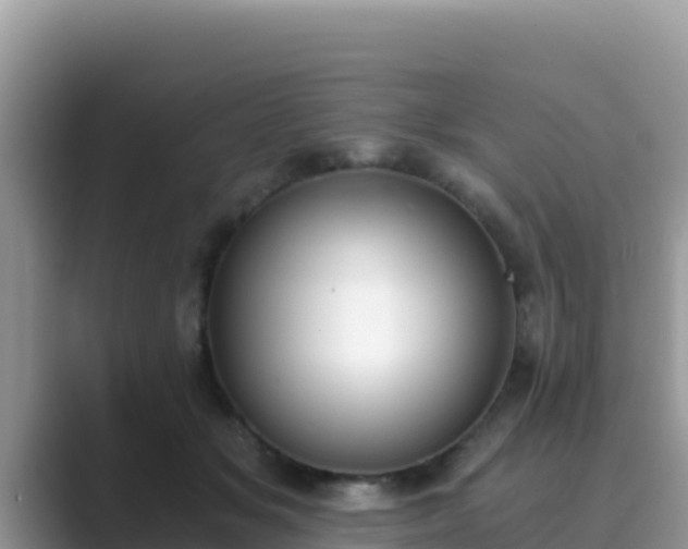 X0000089830509200707051041