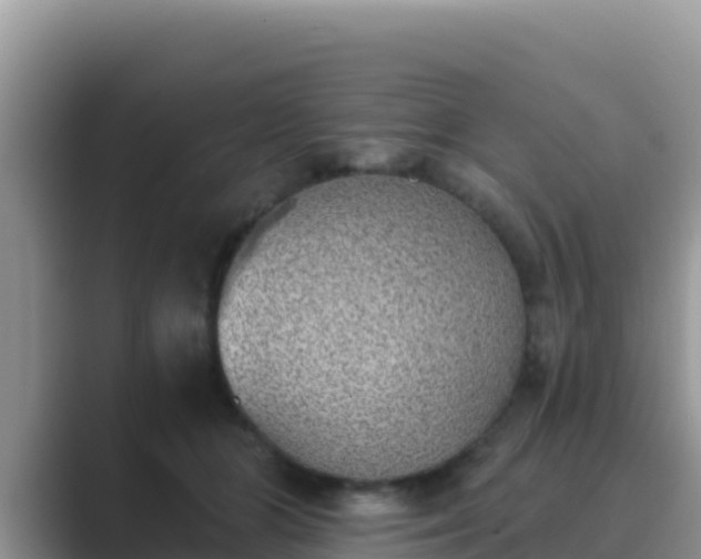 X0000089830510200707051041