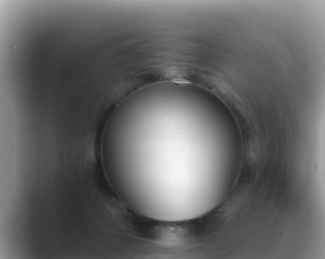 X0000089830512200707051041