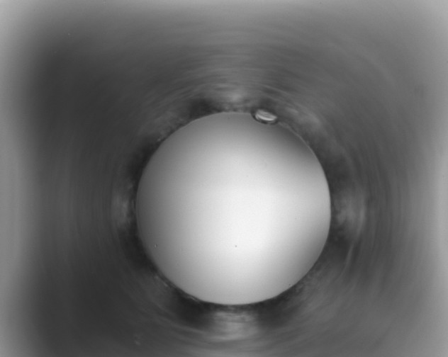 X0000089830515200707051041