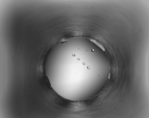 X0000089830516200707051041