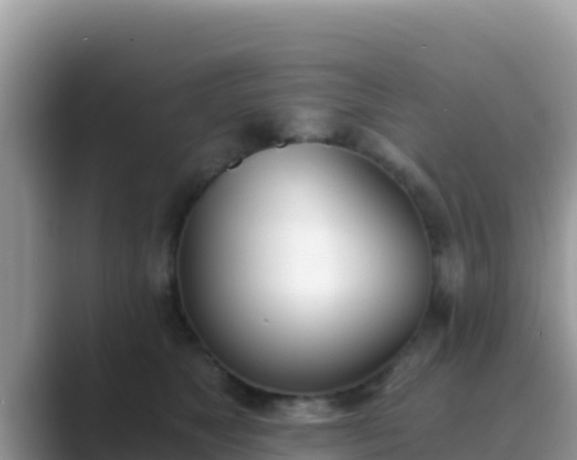 X0000089830517200707051041