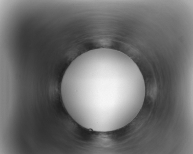 X0000089830518200707051041