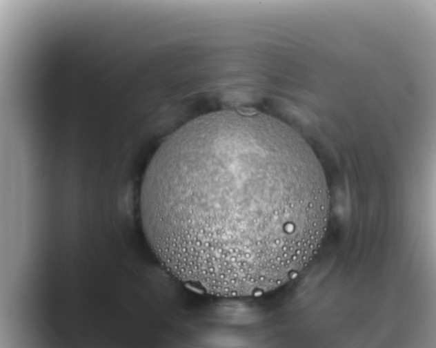 X0000089830519200707051041