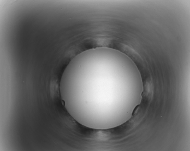 X0000089830522200707051041